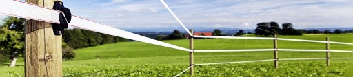 KĽÚČKA BRÁNY PASTUCH S PRUŽINOVÝM HÁKOM, ŽLTÁ