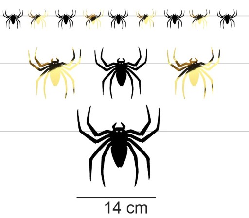 Banner GARLAND SPIDERS HALLOWEEN čierne zlato 9 KS