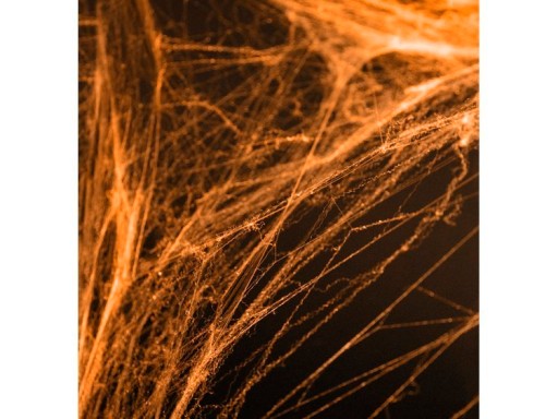 SPIDER WEB ORANŽOVÁ HALLOWEEN 60G