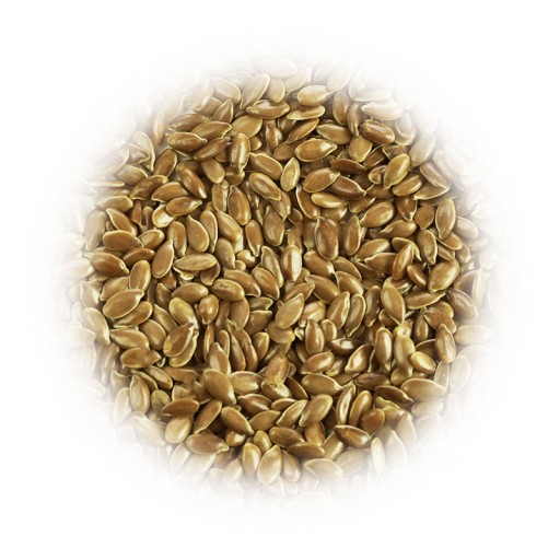 Zlaté ľanové semienka zlatého ľanu GOLDEN LINEN SUPER Q 1kg