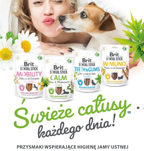 Brit Dental Stick Calming Shih Tzu 251g