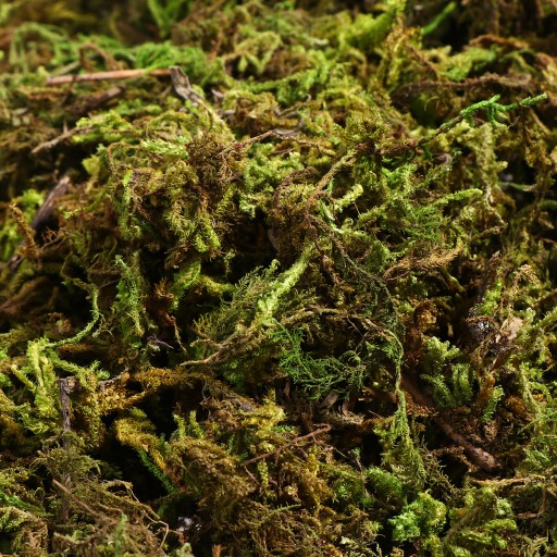 Prírodný lišajník na dekoráciu (60g)