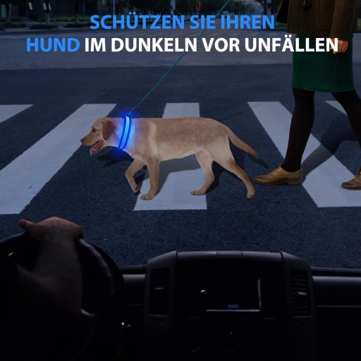 LED GOLÍK PRE PSA Veľkosť L MODRÁ DO 60 CM