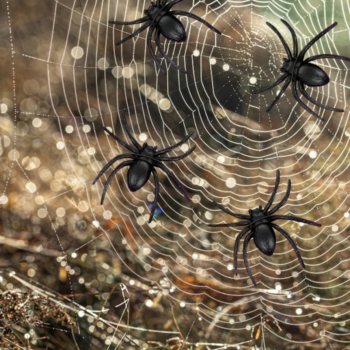 Spider Halloween pavúky umelá dekoračná guma Čierna 4 ks.
