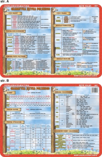 EDU PAD. 009 - ORTOGRAFIA: CH, H, RZ, Ż, Ó..