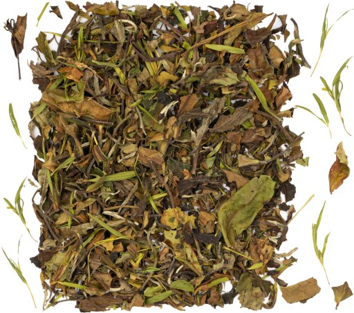Pai mu Tan biely čaj s bambusom 50g