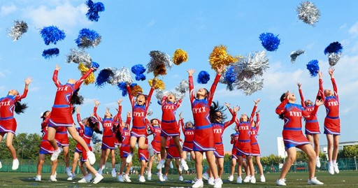 SILVER POMPOMS CHEERLEADER POMPONS CHEERLEADER 2 ks