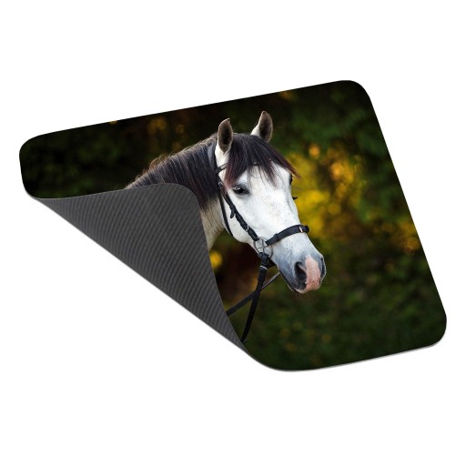PODLOŽKA NA MYŠ HORSE HORSES