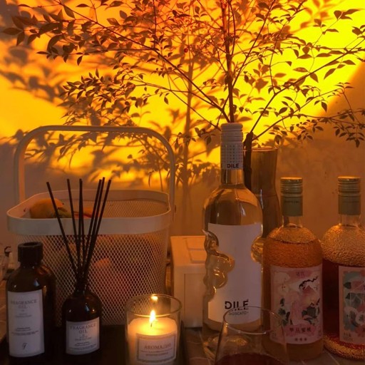IMITÁCIA ZÁPADU SLNKA PROJEKTORA NÁLADOVEJ LAMPY