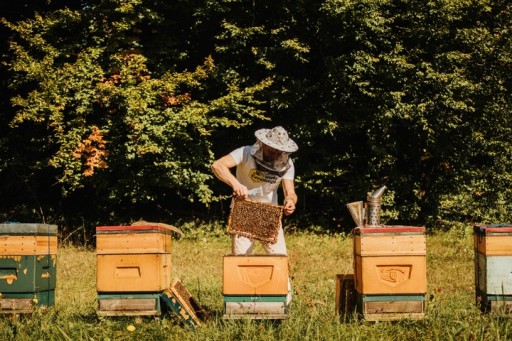 Pohánkový nektárový med Natural Polish Liquid 2023 Ceremuga Honey 250g
