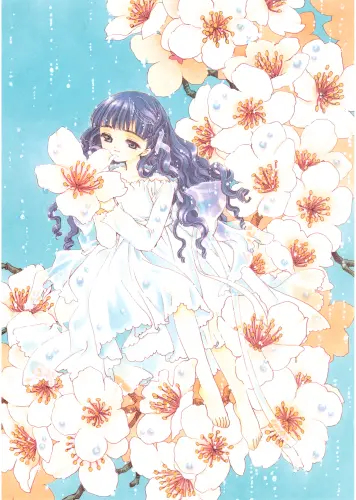 Anime Manga Cardcaptor Sakura Plagát ccs_217 A3
