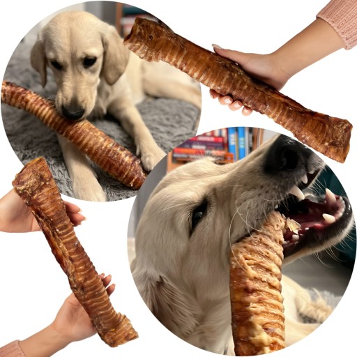 CHRUVKA PRE VEĽKÝCH PSOV PRÍRODNÁ HOVÄDZIA TRACHEA, VEĽKOSŤ XL