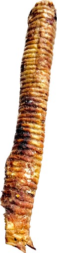 Hovädzie trachea Prírodne sušené XL 1 ks 40 cm