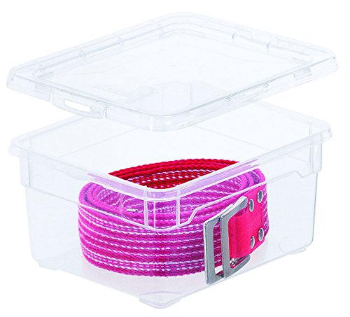 Úložný box Rotho CLEAR 2l