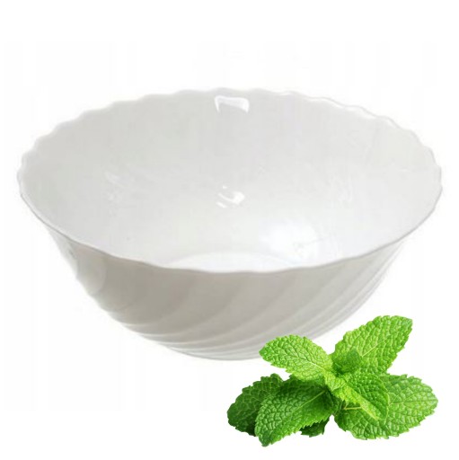 Flasser Bowl Miska na šalát 16cm 500ml BULLY BOOT LUMINARC originál TRIANON