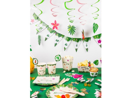 Hawaii Party Popcorn Boxes Hawaii 6s