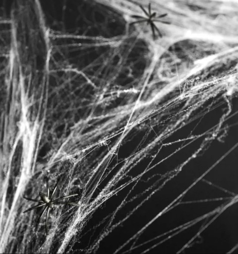 SPIDER WEB Biela s pavúkmi, Halloweenska dekorácia