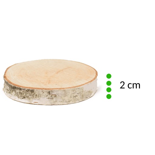 Drevený plátok s priemerom 12-15 cm, hrúbka 2 cm - 1 ks