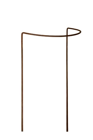 Podpera pre hortenzie, rastliny, kvety, pergola, 30/50 cm, podpery pre monstera ruže