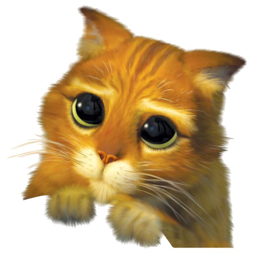 NÁLEPKA NA OKENNÉ SKLO ZRKADLO SHREK CAT KAN