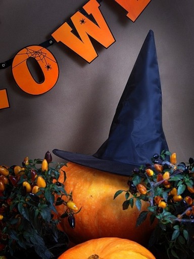 Halloween čarodejnica čarodejnícka čiapka - čierna