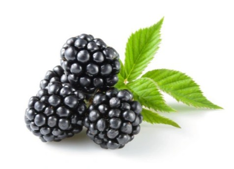 BLACKBERRY GEL 50% DEZERT 500 g