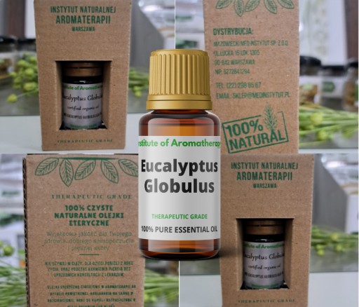 Eucalyptus Globulus ORGANIC oil, Aroma Institute