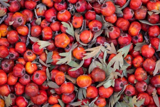 Celé sušené plody hlohu 250 g 100% prírodné, Podlaské vojvodstvo