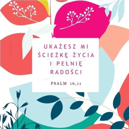Korkový stojan - Ukážeš mi cestu