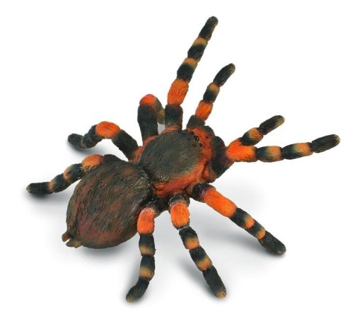 ČERVENÝ VTÁK