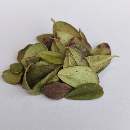 List brusnice - 50g - Dary Podlasie