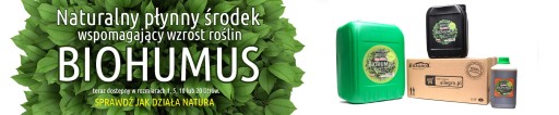 Kanister 5L na palivo, vodu, ropu a benzín