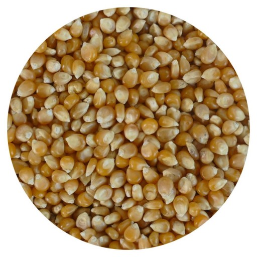 Popcorn na praženie 1000 g, kukuričné zrno 1 kg