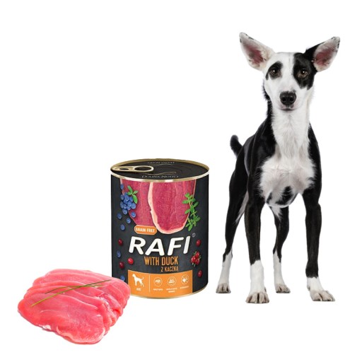 Dolina Noteci Rafi Karma Kaczka 800g