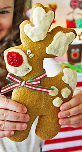 FORMULÁR KRAJAČ NA COOKIE VIANOČNÝ SOB