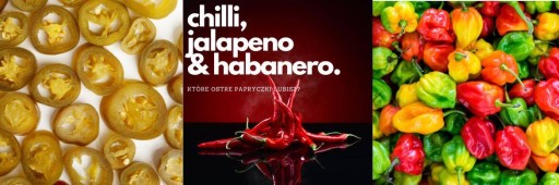 Nakladané plátky jalapeňskej papriky Morčacie chilli Hot Dayal 320 g/570 g