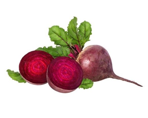 Naklíčenie semienok REPNÉ KLÍČKY 100% BIO 25g / BIO Naturo