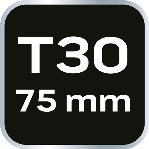 Bit TORX T30 x 75 mm, S2 x 2 ks.