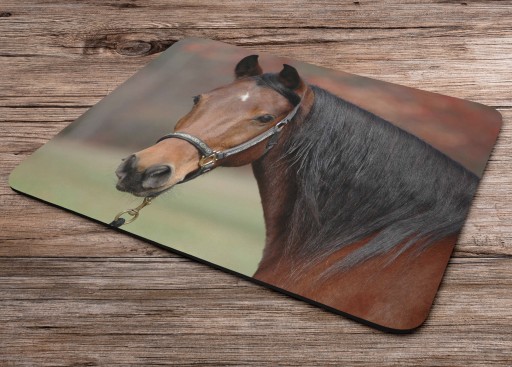 PODLOŽKA NA MYŠ HORSE HORSES