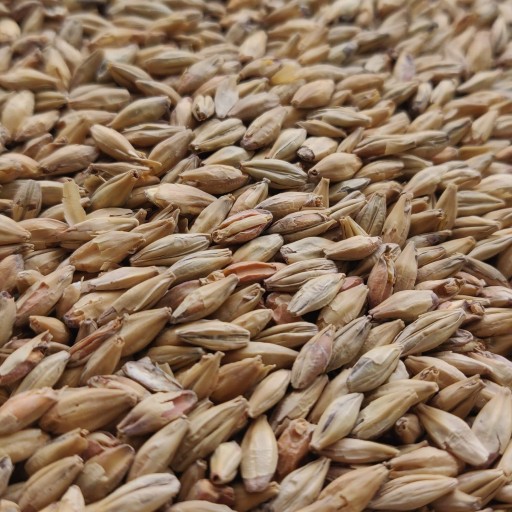 Red Ale slad 0,5kg Viking Malt - Nestrelený