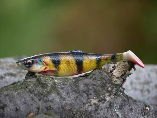Savage Gear 4D Herring Shad 11cm - Ostriež