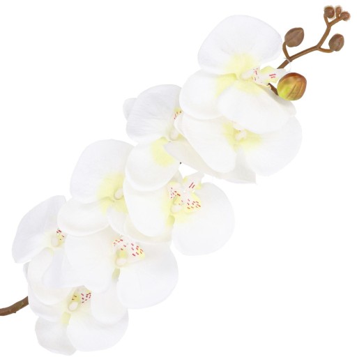 ORCHIDEA ORCHIDEA Vetvička LIVING QUALITY 90cm