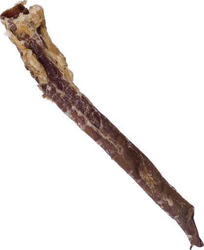 Prírodne sušená hovädzia aorta Tube Natural maškrta pre psov, 3 kusy