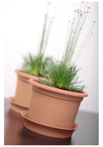 KVETINÁČ ZÁHRADNÝ Črepník, priemer 13cm, ODOLNÝ DEKORATÍVNY