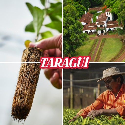 Yerba Mate Union Hierbas serranas 500g od TARAGUI