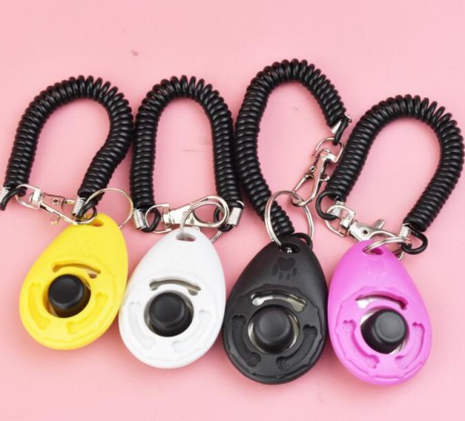 VÝCVIK CLICKER PRE PSOV VÝCVIK VÝCVIKU CLICKER METÓDA POSLUŠNOSTI