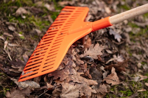 NEO HRABĽA NA LÍSTIE, STREDNÁ 460mmX240MM PLASTOVÁ TANIEČKA POZOR 95-043