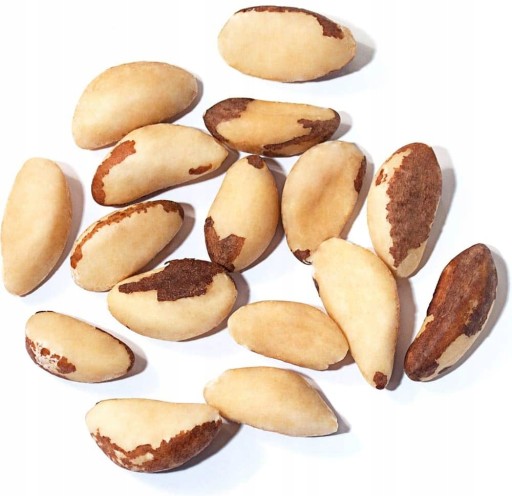BRAZÍLIA orechy 100 g, prírodné
