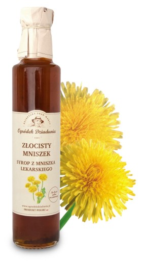 Púpavový SIRUP PRÍRODNÝ 100% ZDRAVÝ