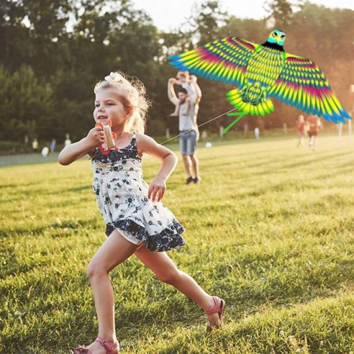 KITE PRE DETI SILNÝ VEĽKÝ OBROVSKÝ ODHAŠOVAČ VTÁKOV ORLA